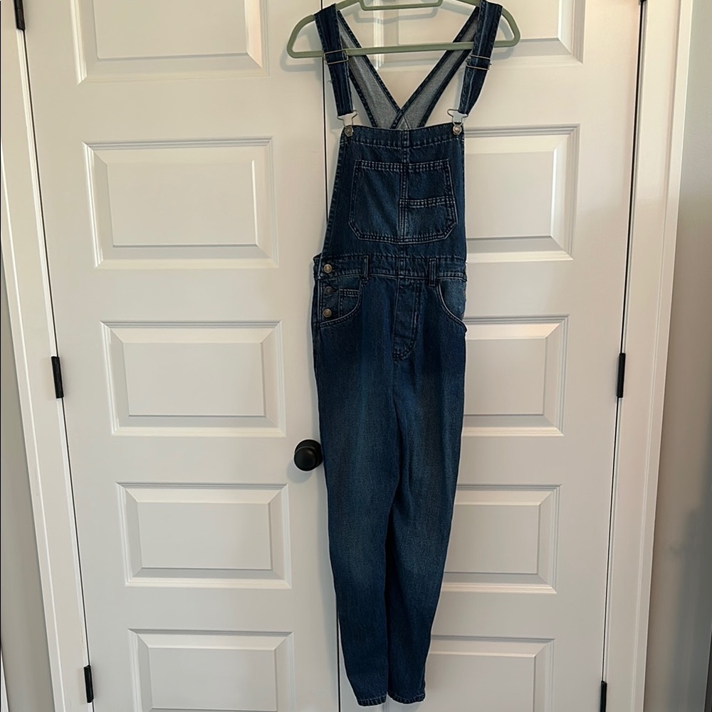 Free People We the Free Denim Overalls
